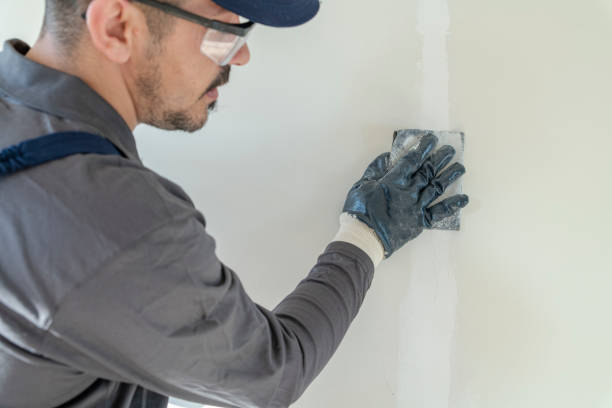 Best Water-Damaged Drywall Repair  in Bethalto, IL